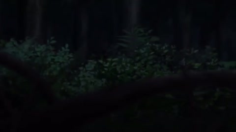 EP 12